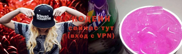 соль ск Лагань