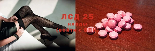 соль ск Лагань