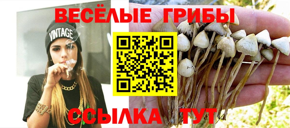 Галлюциногенные грибы прущие грибы  Псилоцибиновые грибы GOLDEN TEACHER  Новокубанск 