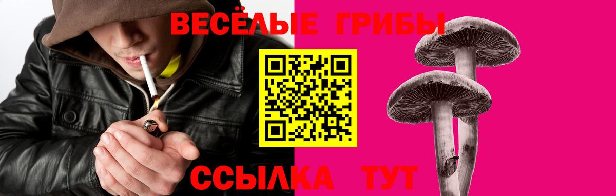 Новокубанск  Псилоцибиновые грибы мухоморы  Вход с VPN 