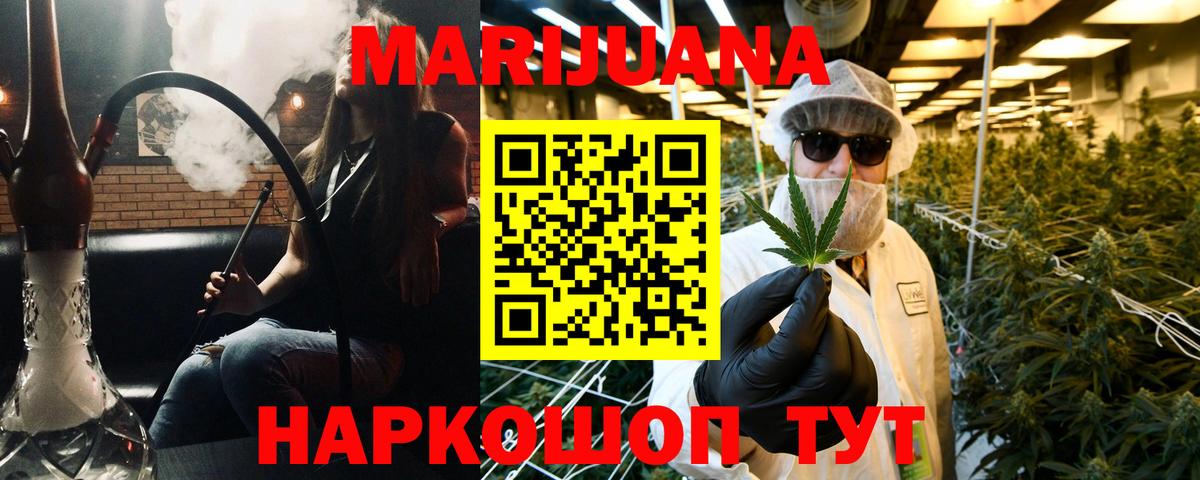 Канабис сатива Новокубанск